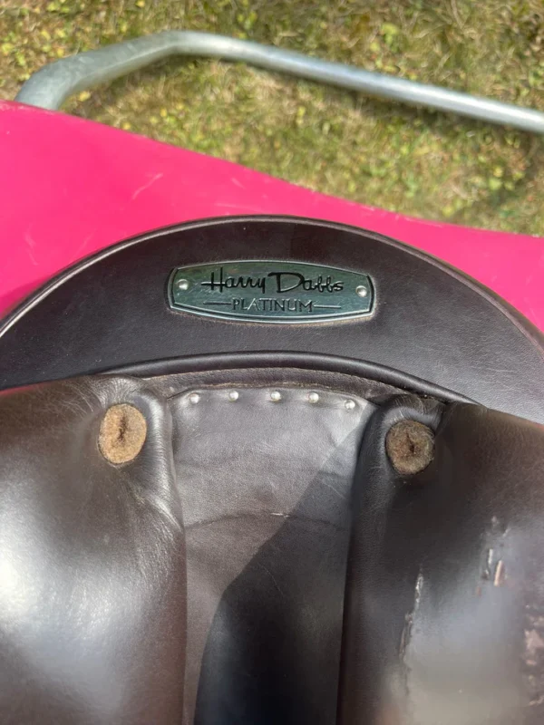 Anke Just by Harry Dabbs