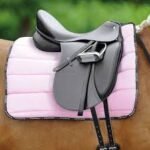 passier dressursattel