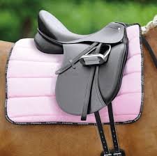 passier dressursattel